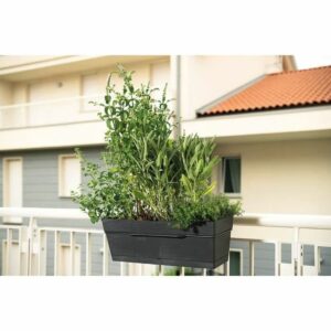 Plant pot Deroma 49 cm