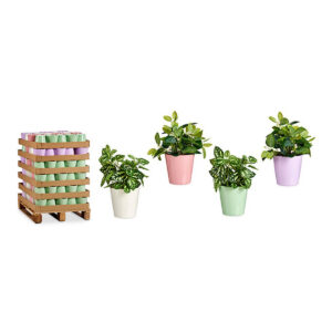 Plant pot Pink Lilac White Green Clay (16,5 x 16 x 16,5 cm) (120 Units)