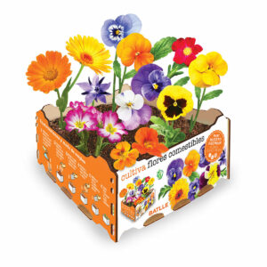 Cultivation Set Batlle Flowers Edible 19 x 19 x 10 cm