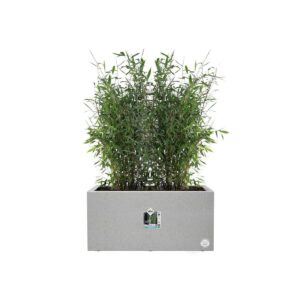 Plant pot Elho White 59 x 30 x 29 cm Plastic Rectangular Modern