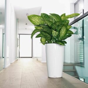 Plant pot Lechuza 40 x 40 x 75 cm Plastic