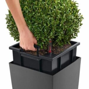 Self-watering flowerpot Lechuza Anthracite 39,5 x 39,5 x 75,5 cm polypropylene Plastic