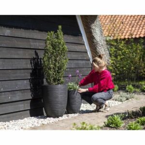 Planter Capi Europe Black Plastic Circular 34 x 34 x 46 cm